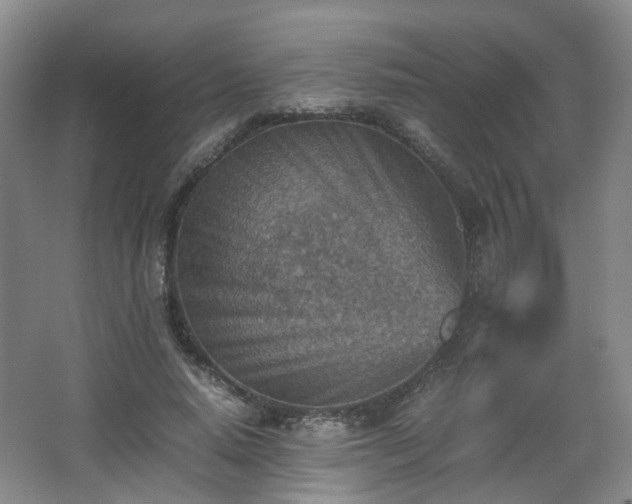 X0000066960640200603311424