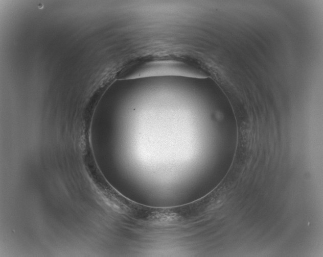 X0000066960642200603311424