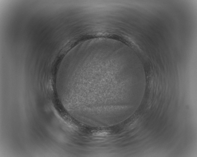 X0000066960643200603311424