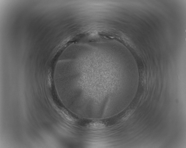 X0000066960644200603311424