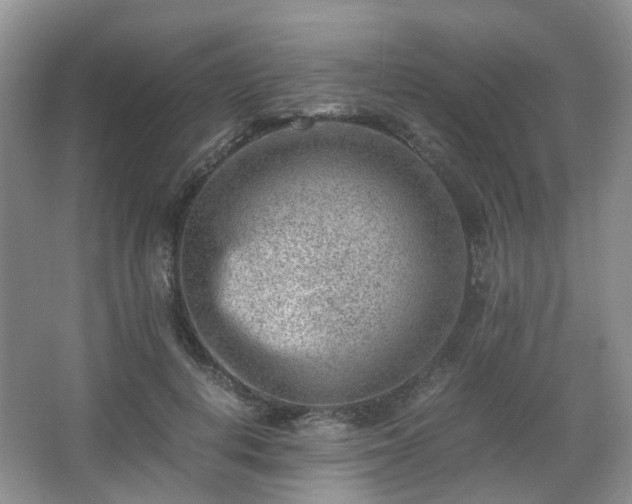 X0000066960648200603311424