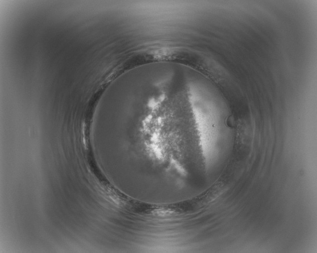 X0000066960650200603311424