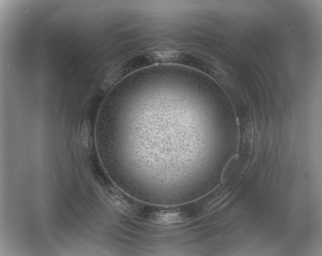 X0000066960651200603311424