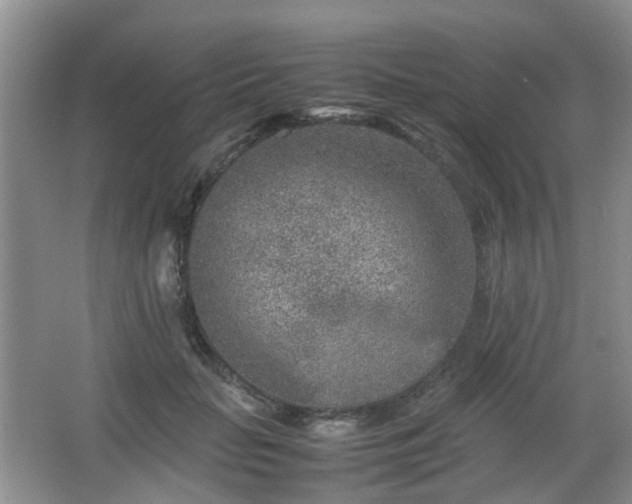 X0000066960653200603311424