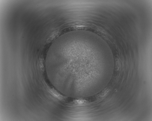 X0000066960654200603311424