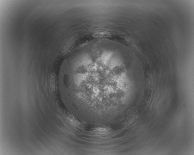 X0000066960659200603311424