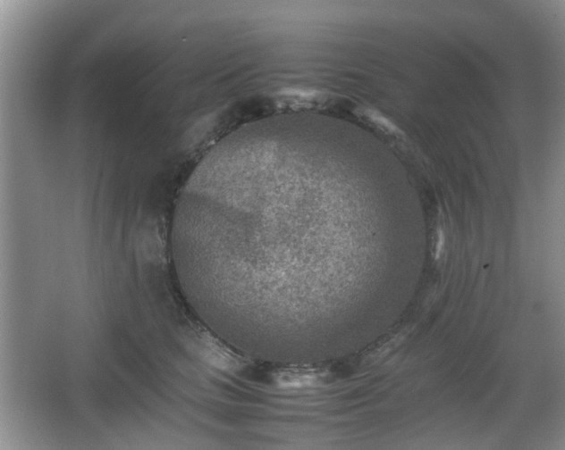 X0000066960661200603311424