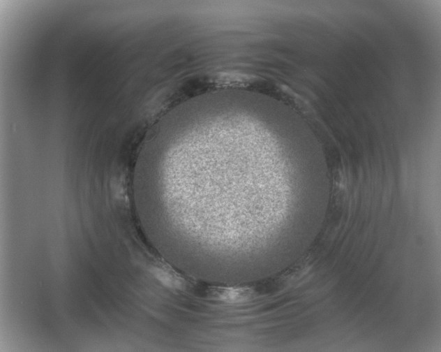 X0000066960663200603311425