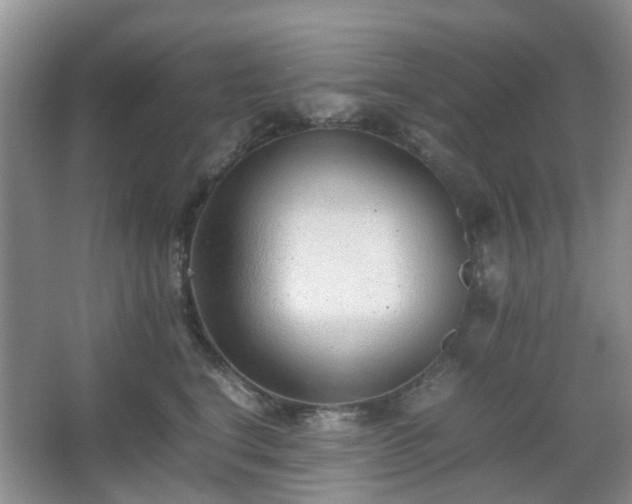 X0000066960664200603311425