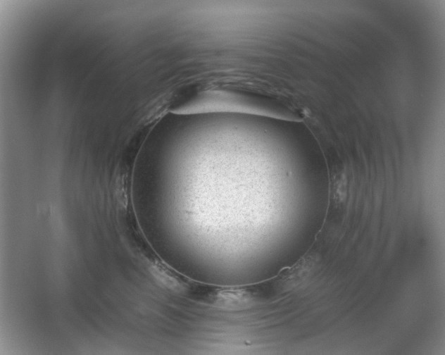 X0000066960666200603311425