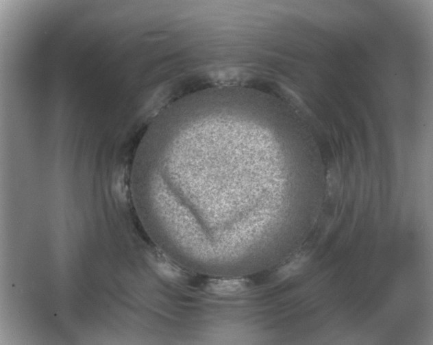 X0000066960671200603311425