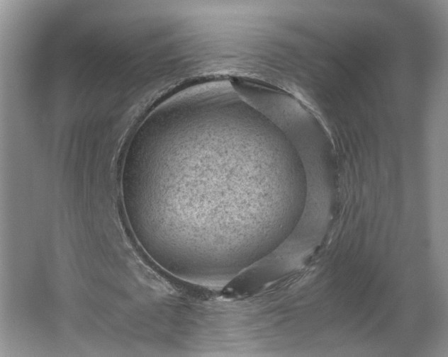 X0000066960673200603311424