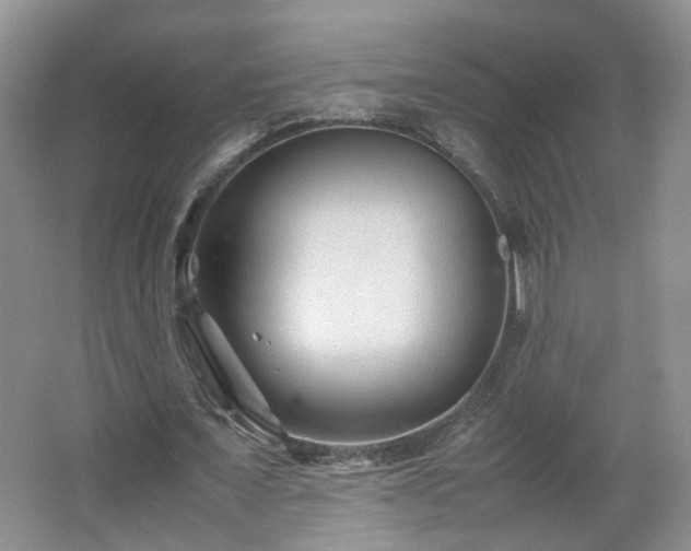 X0000066960675200603311424