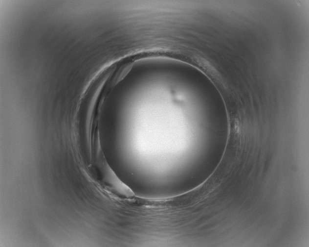 X0000066960676200603311424