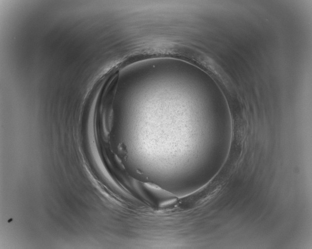 X0000066960677200603311424