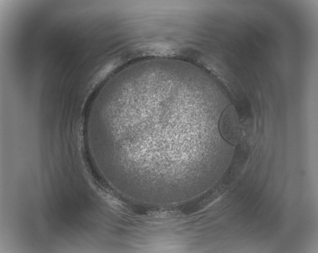 X0000066960679200603311424