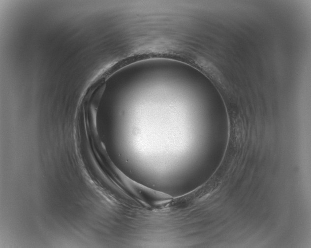 X0000066960680200603311424