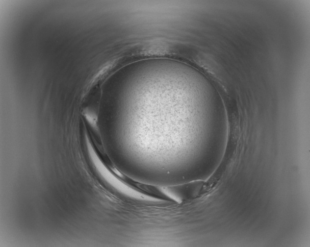 X0000066960681200603311424