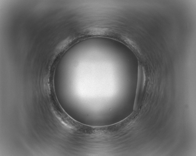 X0000066960682200603311424