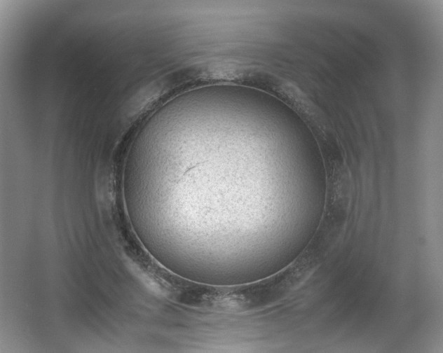 X0000066960683200603311424