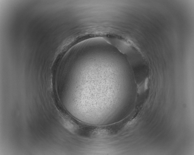 X0000066960685200603311424