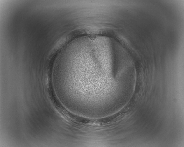 X0000066960687200603311424