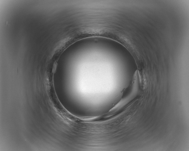 X0000066960688200603311424