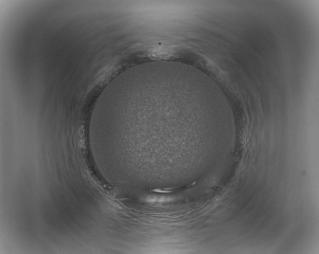 X0000066960689200603311424