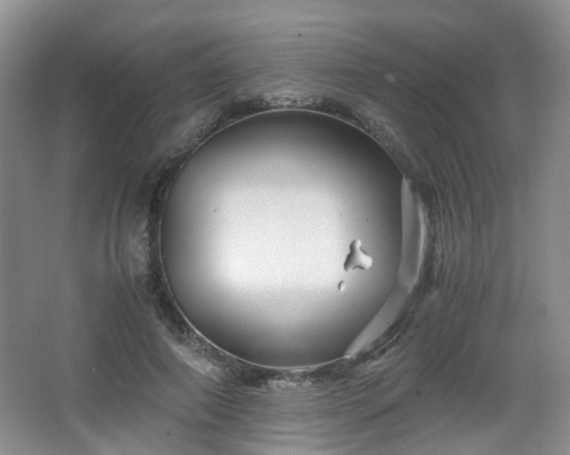 X0000066960690200603311424