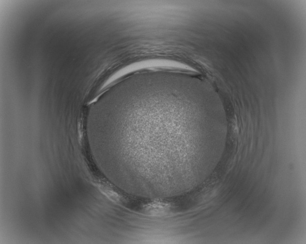 X0000066960691200603311424