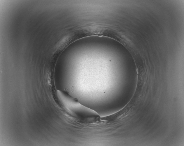 X0000066960693200603311424