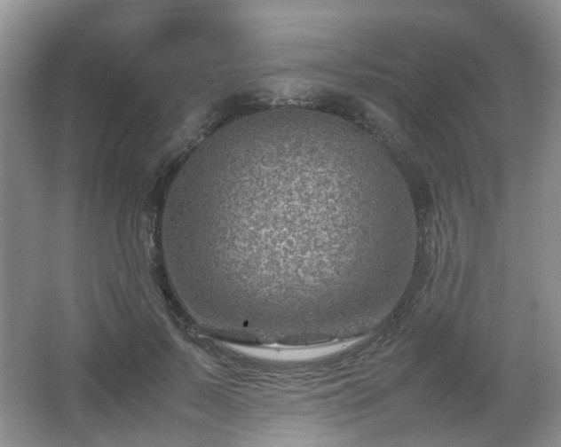 X0000066960695200603311423