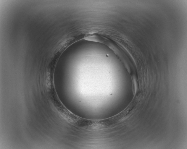 X0000066960696200603311423