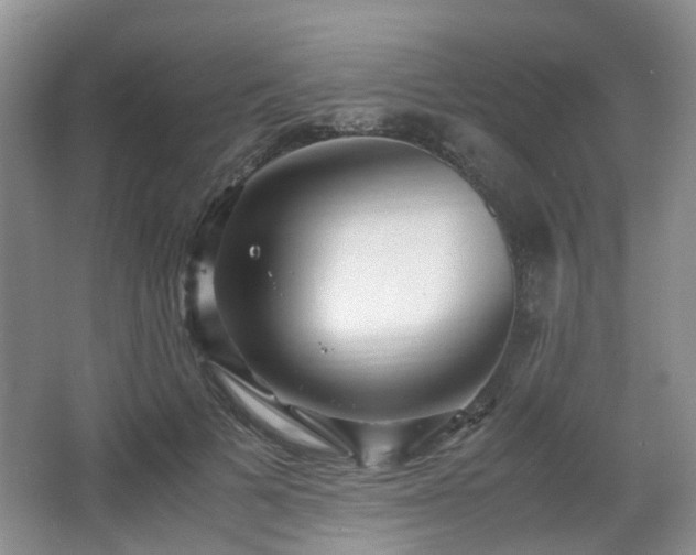 X0000066960697200603311423