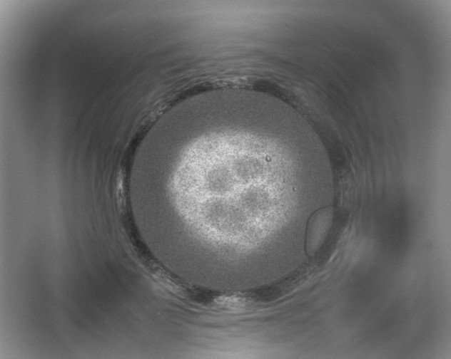 X0000066960699200603311423