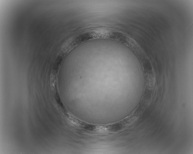 X0000066960701200603311423