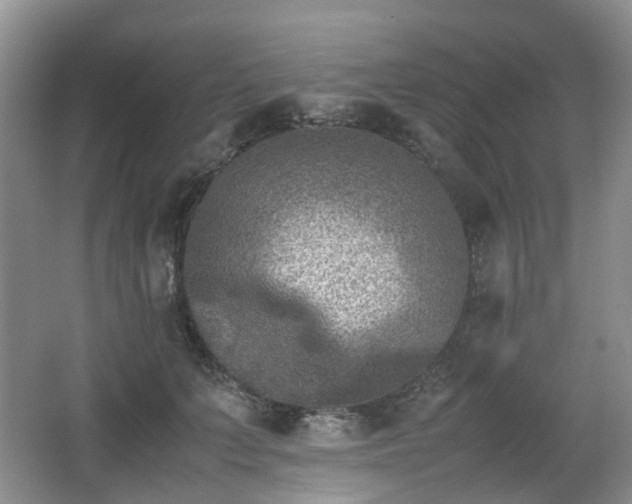 X0000066960703200603311423