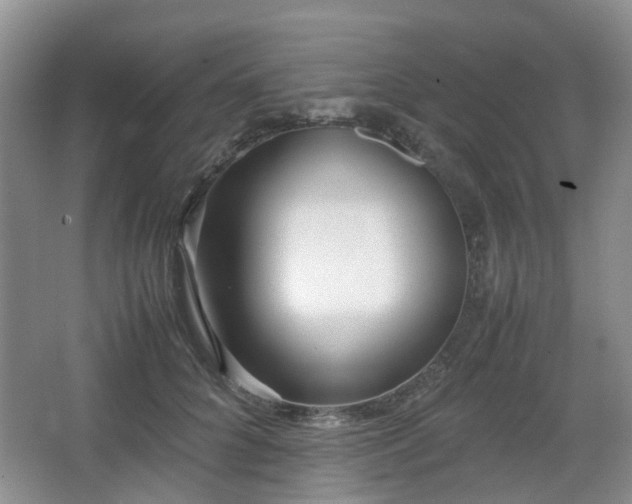 X0000066960704200603311423