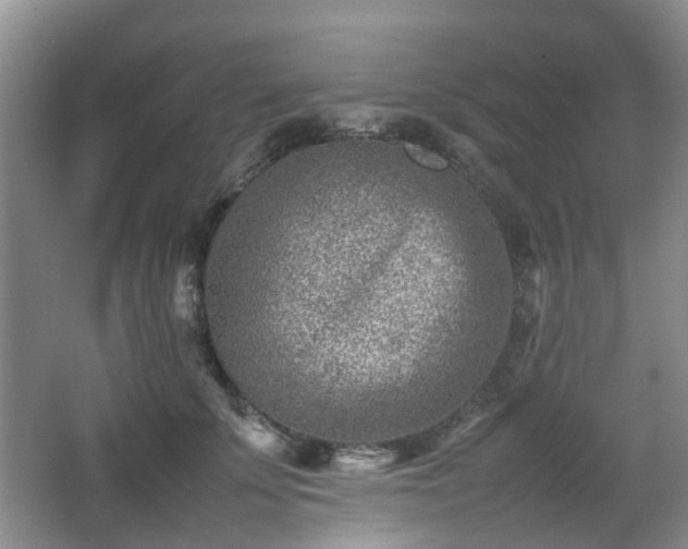 X0000066960707200603311423