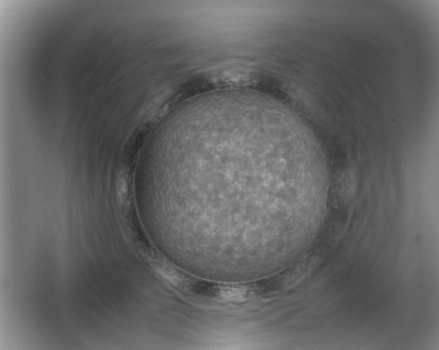 X0000066960709200603311423