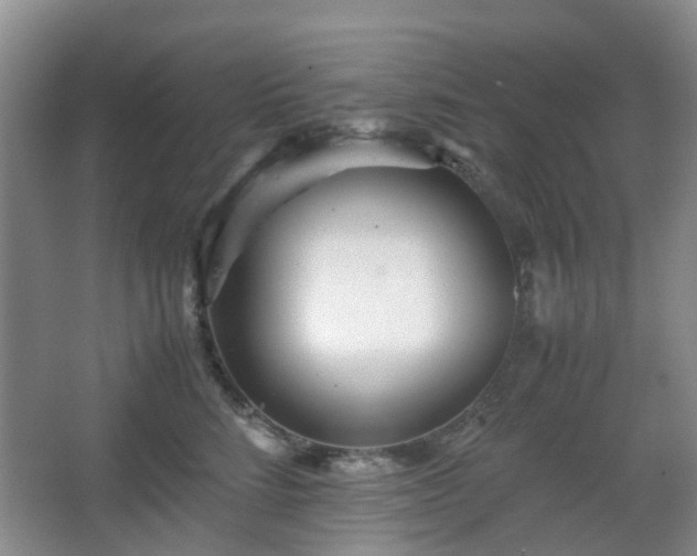 X0000066960712200603311423