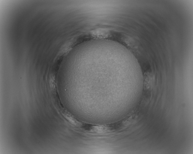 X0000066960713200603311423