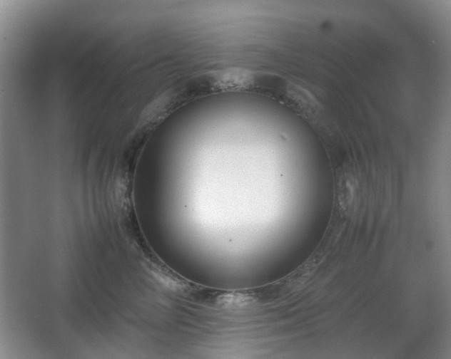 X0000066960714200603311423