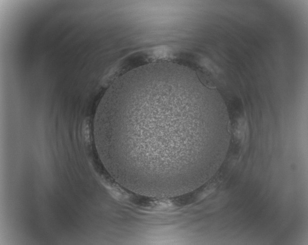 X0000066960715200603311423