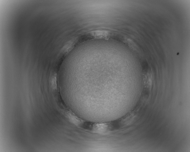 X0000066960717200603311423