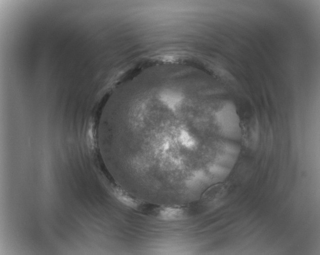 X0000066960718200603311423