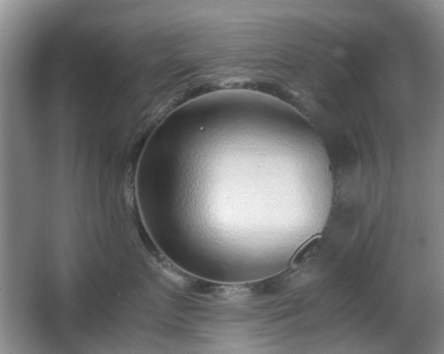 X0000066960719200603311423