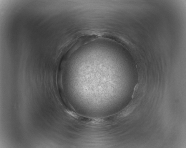 X0000066960720200603311423