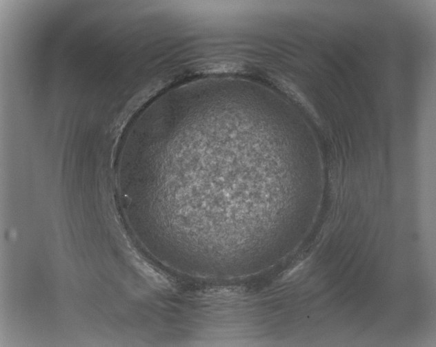 X0000066960721200603311422