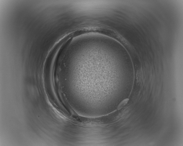 X0000066960722200603311422